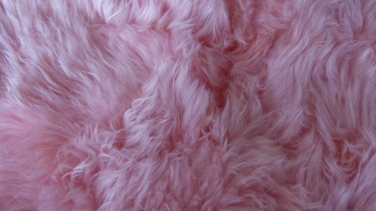 294267 2 X 2 X 3 In. New Zealand Single Sheepskin Rug Pink