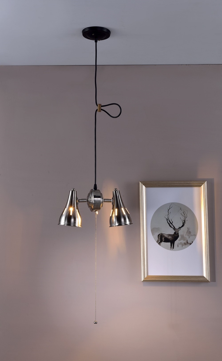 Picture of HomeRoots 468882 Two Light Industrial Silver Hanging Light