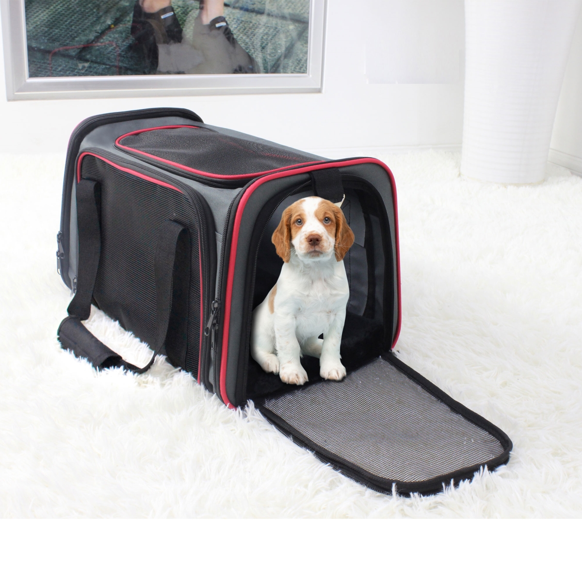 Picture of 212 Main PTC-1912GRD Goopaws Soft Sided Pet Carrier&#44; Gray & Red - Large