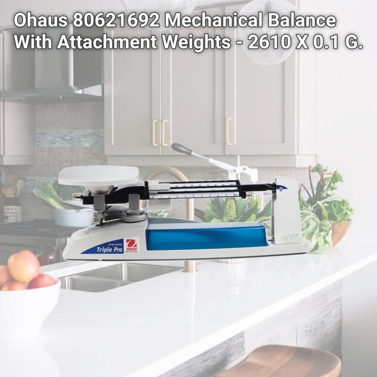 Picture of Ohaus 80621692 Mechanical Balance With Attachment Weights - 2610 X 0.1 G.