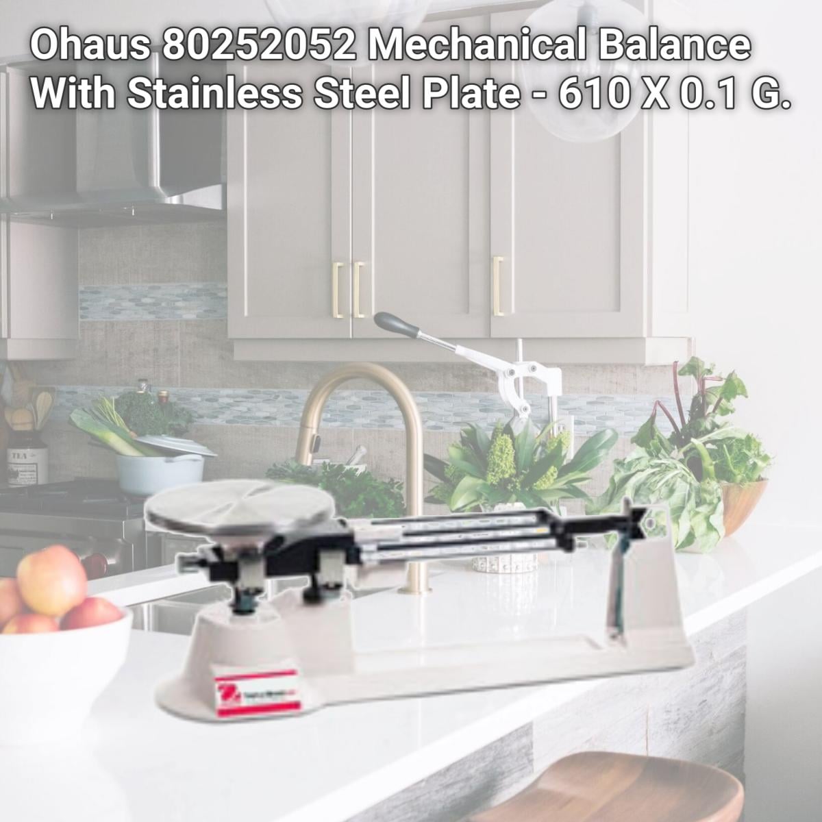 Picture of Ohaus 80252052 Mechanical Balance With Stainless Steel Plate - 610 X 0.1 G.
