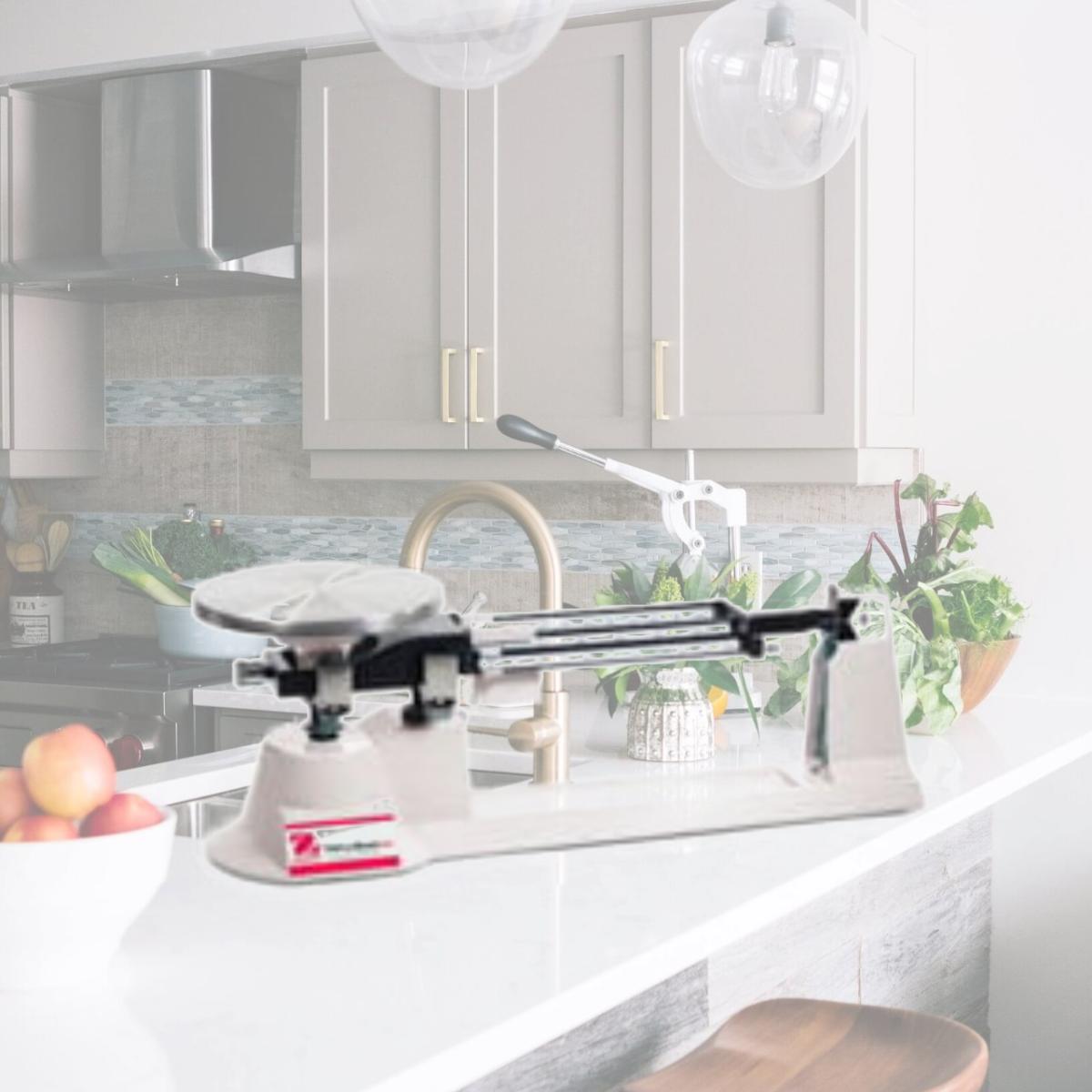 Picture of Ohaus 80252052 Mechanical Balance With Stainless Steel Plate - 610 X 0.1 G.