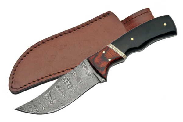 DM-1054 8 in. Buffalo Damascus Skinner Horn Handle Fixed Knife
