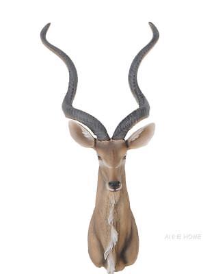 At001 Antelope Head Wall Decorative