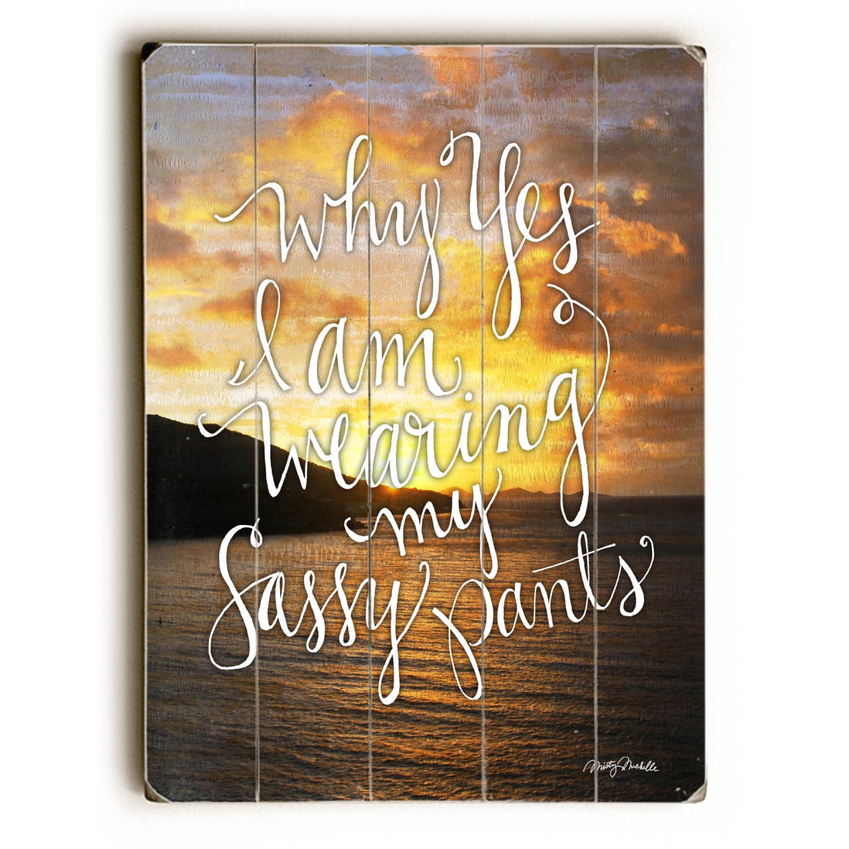 30 X 40 In. Sassy Pants Planked Wood Wall Decor By Misty Diller
