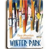 0002-4674-25 9 X 12 In. Winter Park With Skiis Solid Wood Wall Decor By Posters Please