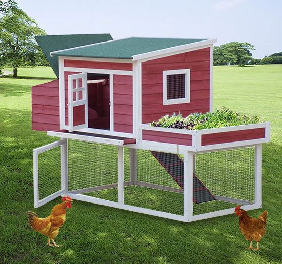 Farmhouse Wooden Chicken Coop With Display Top, Run Area & Nesting Box - 67 In.