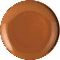 UPC 627992002074 product image for Knack3 1100320 10 in. Plate Dinner - Bright Orange | upcitemdb.com
