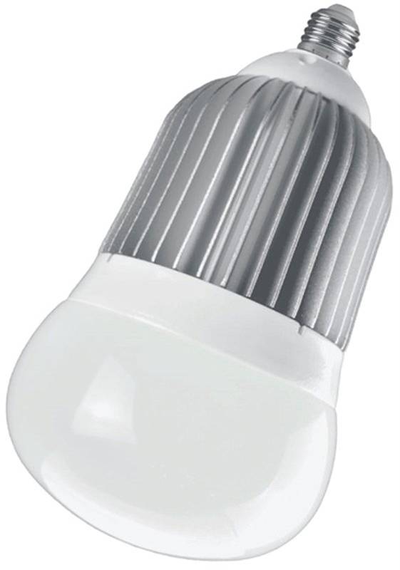 Power Zone 4525796 2570 Lumens Bulb Big Led Edition Base