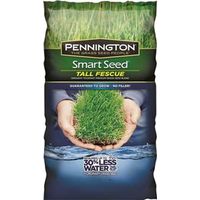 3385507 Tall Fescue Seed Bag, Dark-green