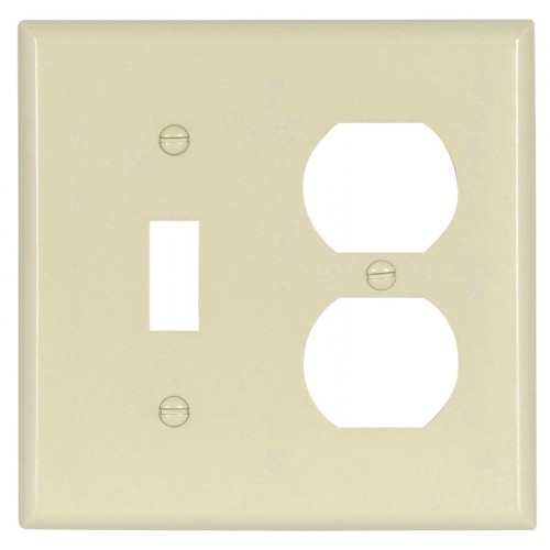 Cooper Industries 4248662 2 Gang Wall Plate Combo