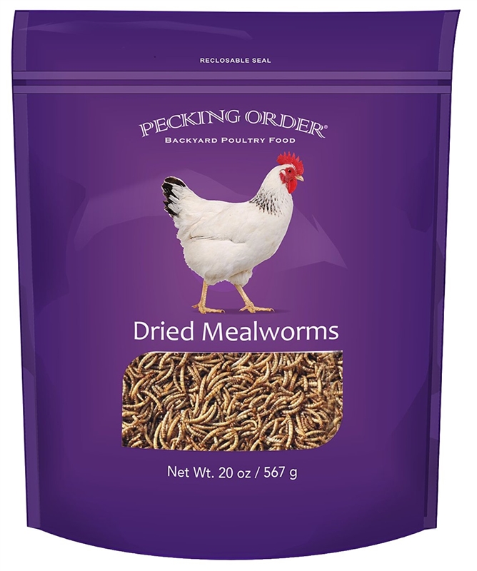 9297417 Mealworms Feeds & Chickens - 20 Oz