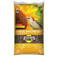 3595840 10 Lbs Black Oil Sunflower Bird Food