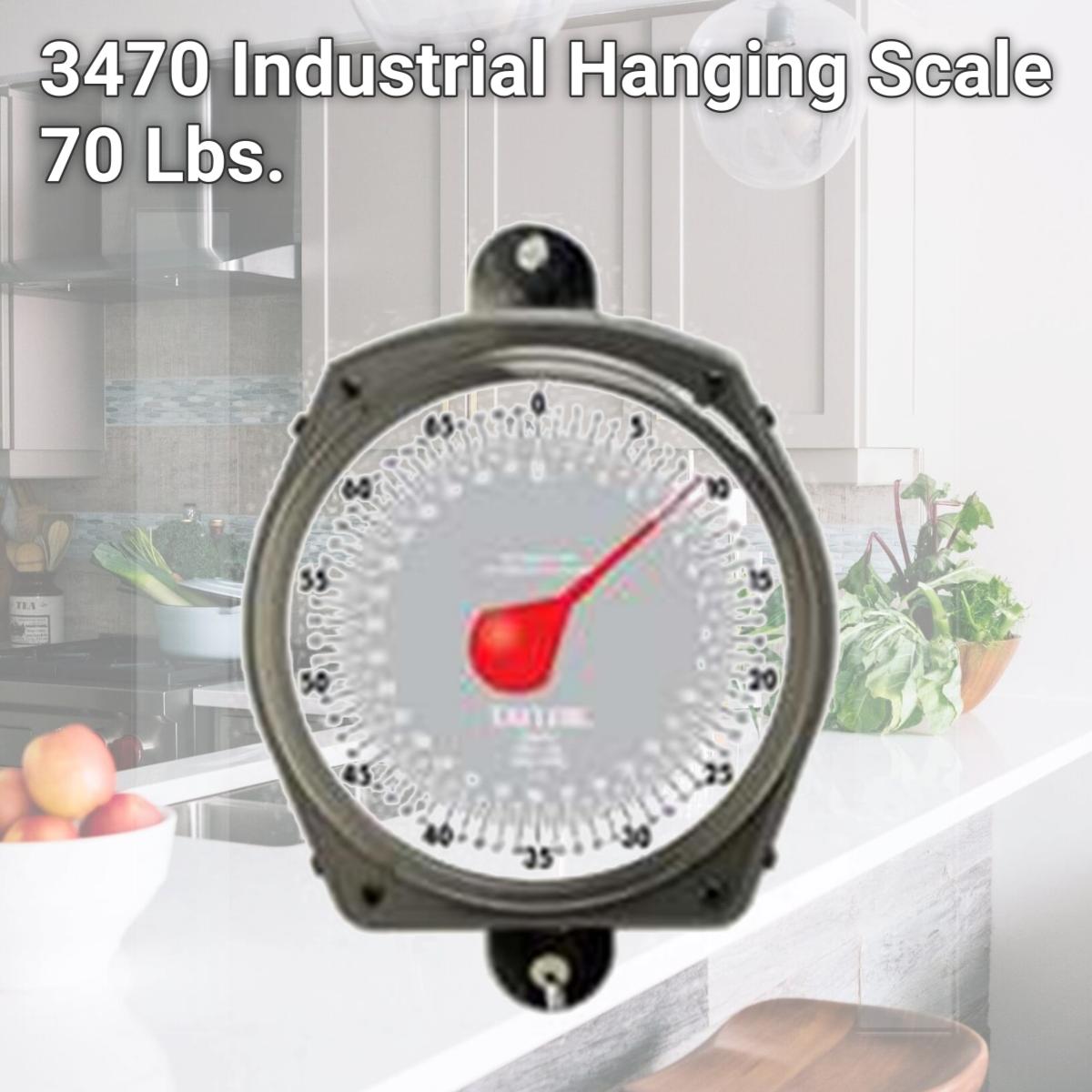 Picture of Taylor Precision Products 3470 Industrial Hanging Scale 70 Lbs.