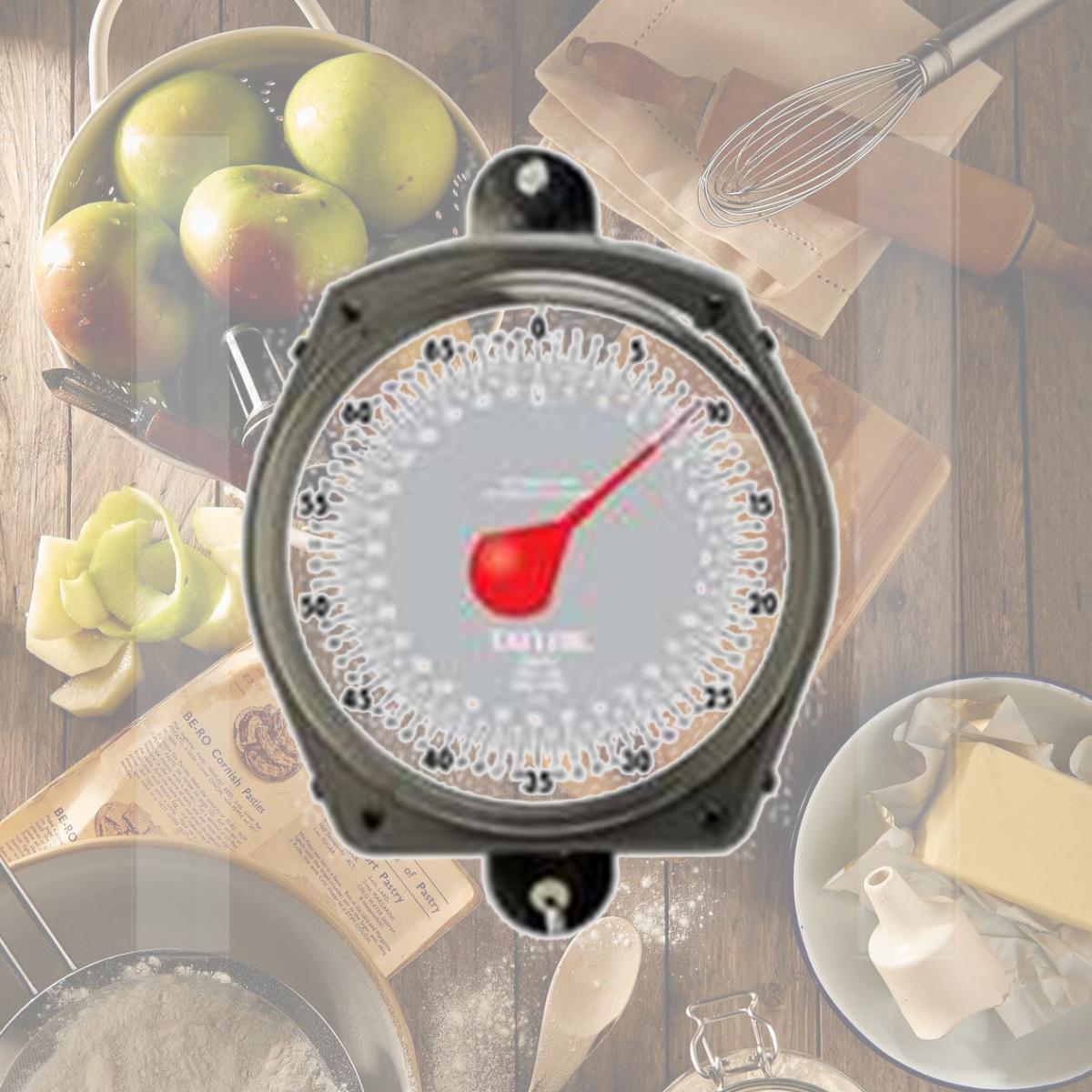 Picture of Taylor Precision Products 3470 Industrial Hanging Scale 70 Lbs.