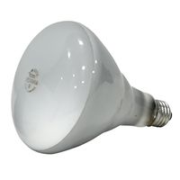 8482861 65w Br40 2850k Medium Base Incandescent Light Bulb, Frost Finish Pack Of 6