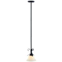 3890720 Clear Glass Pendant With 15 Ft. Cord & Plug, Matte Black