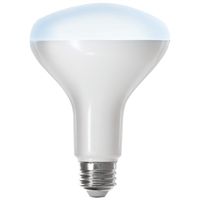 9989500 Bulb Br30 5000k Alexa Google