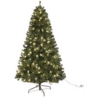 3457876 6 Ft. Noble Fir Sheared Prelit Christmas Tree With Clear Led Light