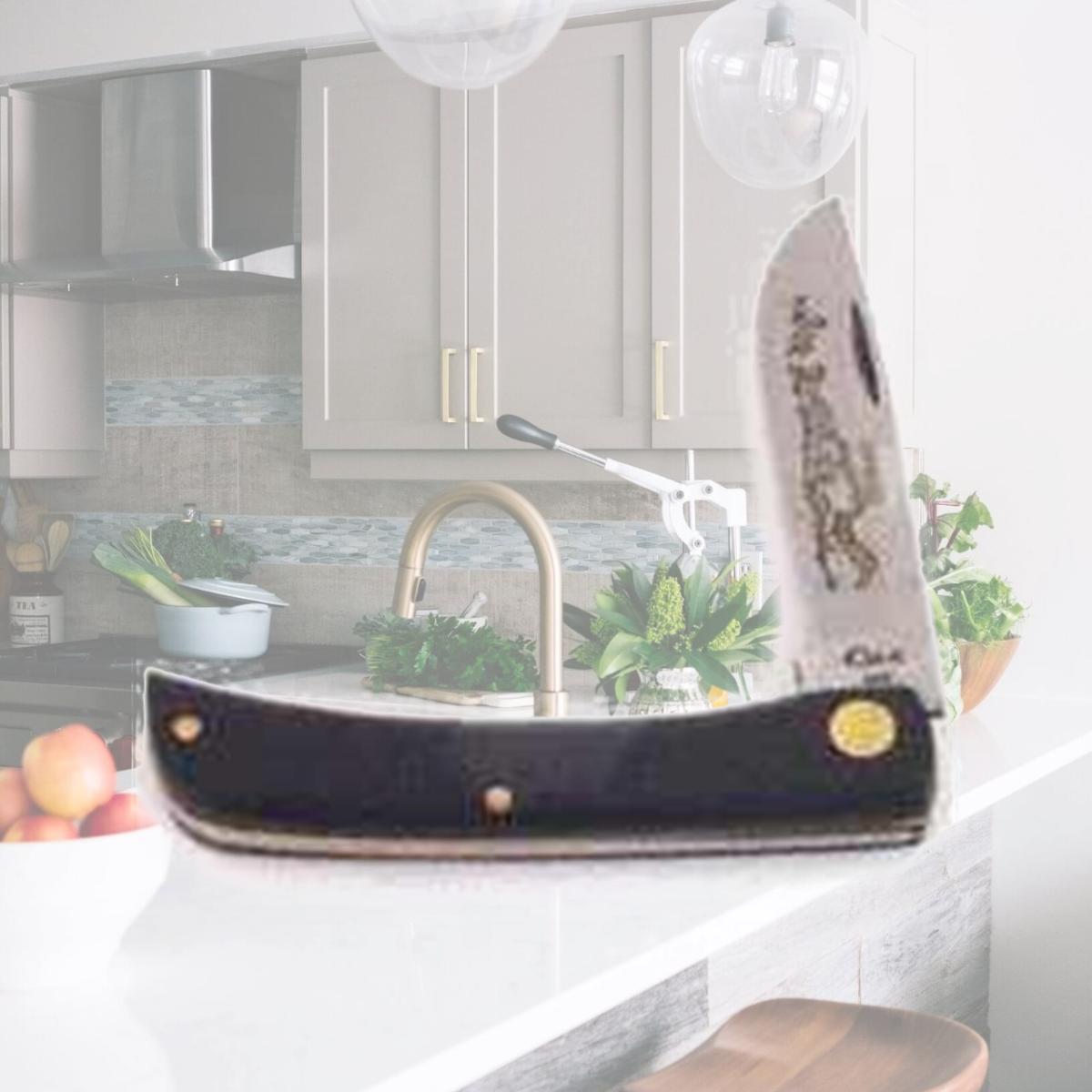 Picture of Case Pocket Knives 6310718 Case Pocket Knife- 1 Blade- 5.63 In.