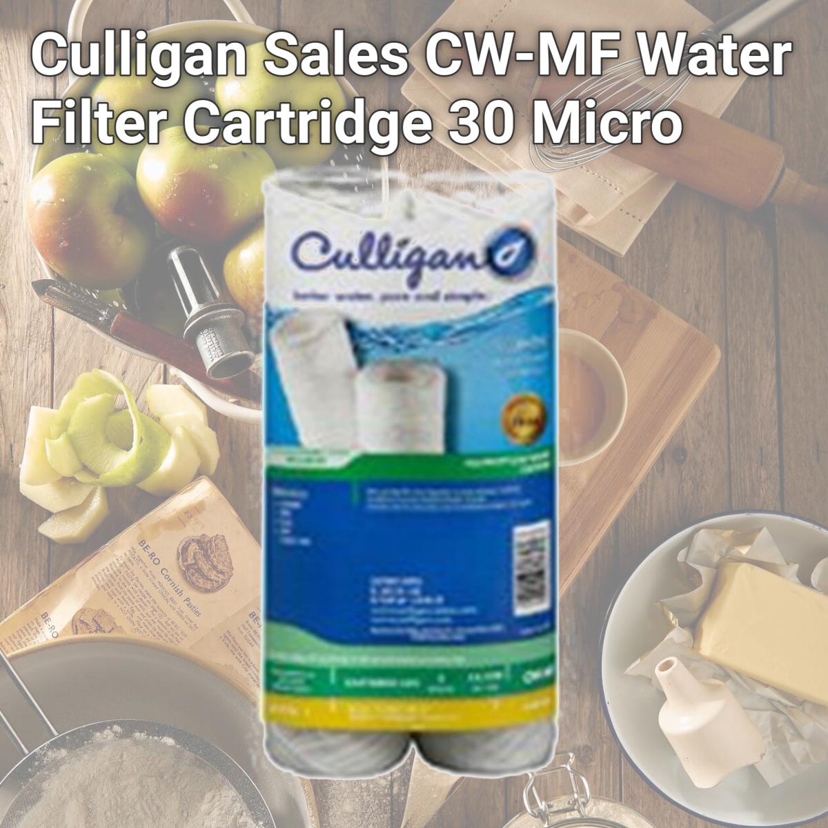 Picture of Culligan Sales CW-MF Water Filter Cartridge 30 Micro