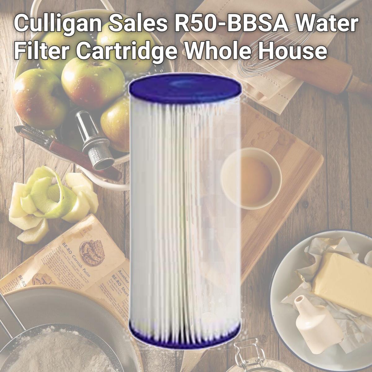 Picture of Culligan Sales R50-BBSA Water Filter Cartridge Whole House