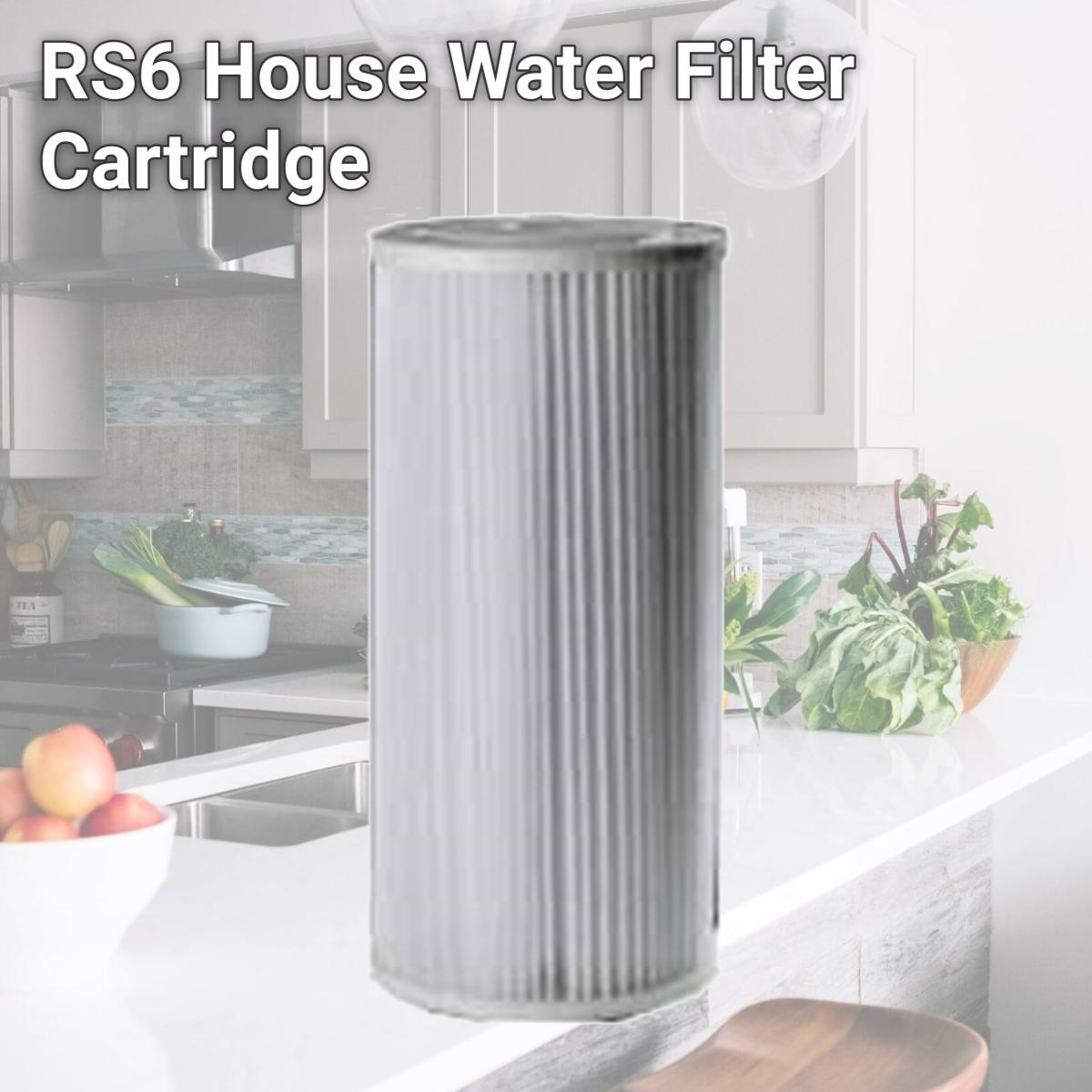 Picture of Sta-Rite Industries RS6 House Water Filter Cartridge
