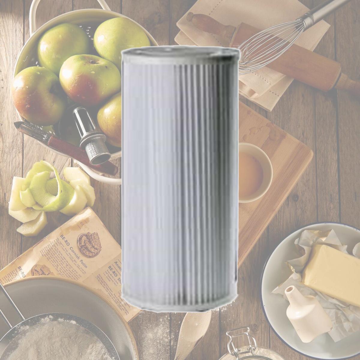 Picture of Sta-Rite Industries RS6 House Water Filter Cartridge