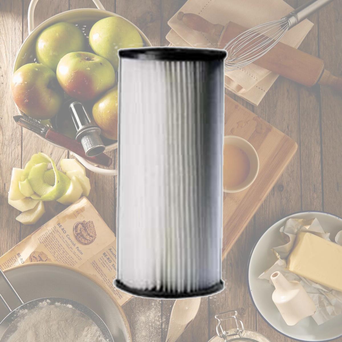 Picture of Sta-Rite Industries T06 Water Filter Cartridge Heavy Duty