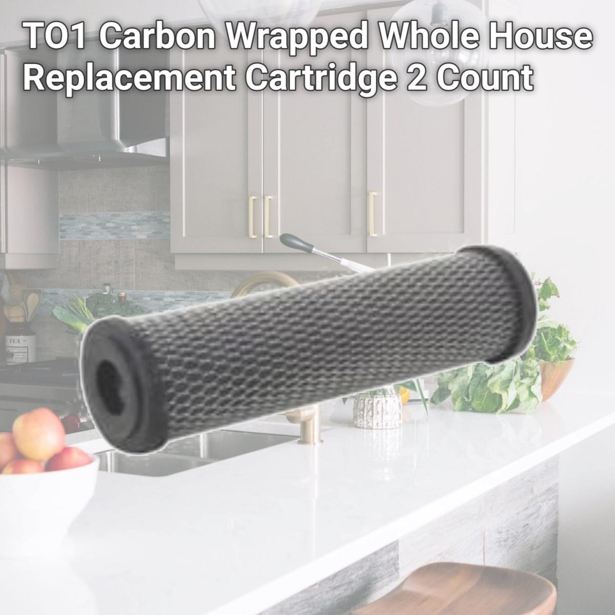 Picture of TO1 Carbon Wrapped Whole House Replacement Cartridge 2 Count
