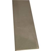 0012286 Metal Strip, 0.01 In. T, 12 X 1 In. - Stainless Steel