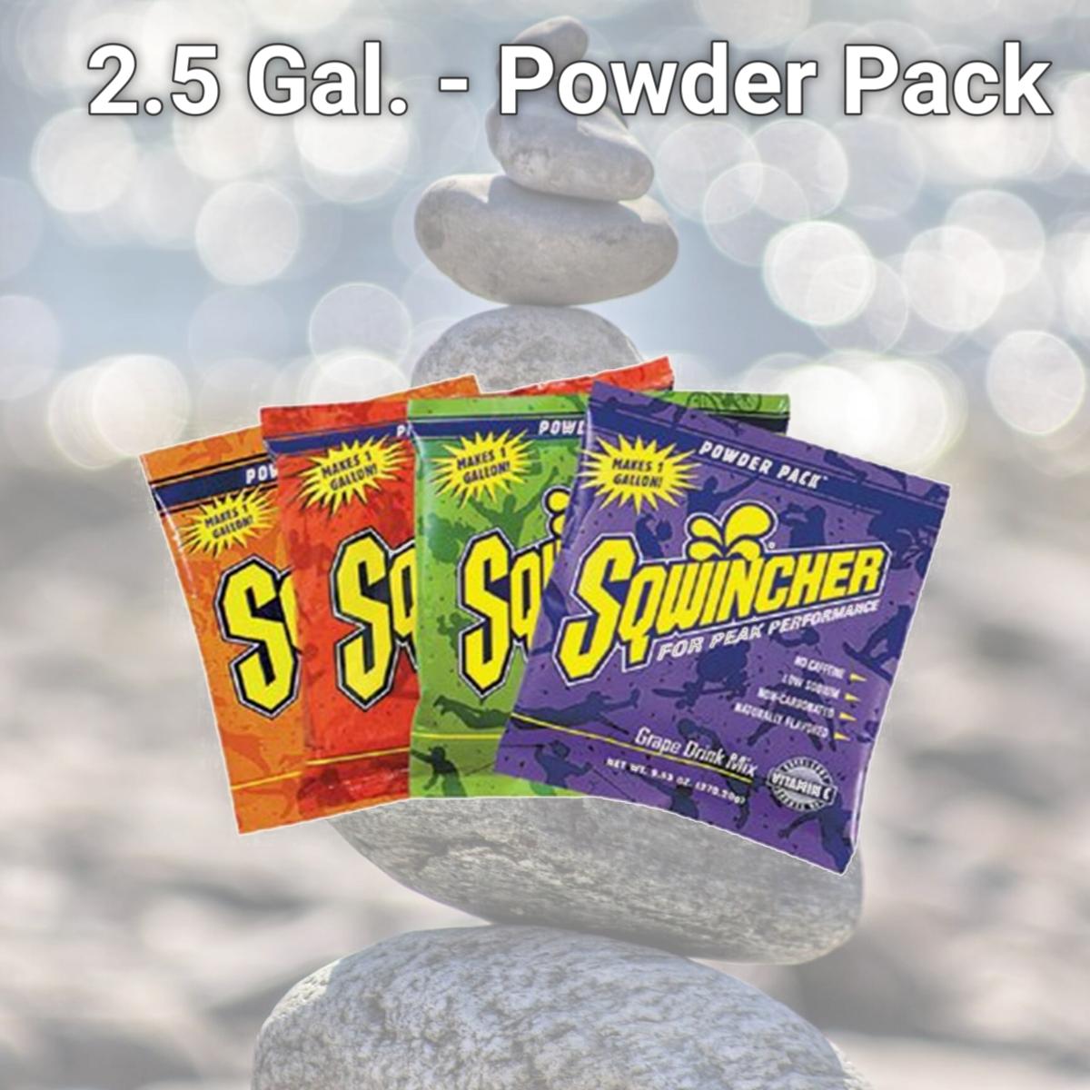 Picture of Sqwincher 690-016044-AS 2.5 Gal. - Powder Pack