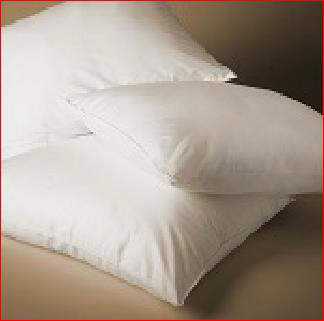 12861 Cotton Plush Pillow, Standard - Pack Of 10