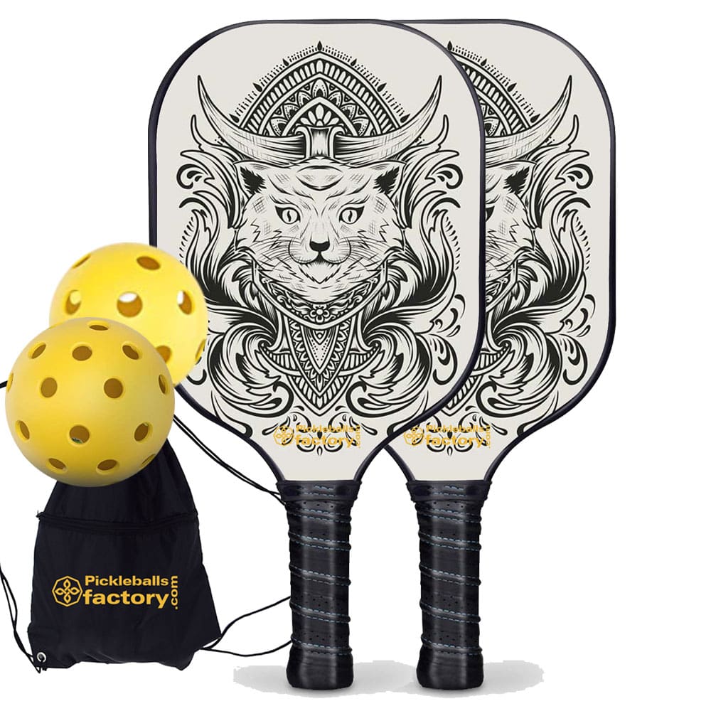 PB0003-4-C Pickleball Paddle Set - Egyptian Cat Level Up Pickleball Rackets, Pickleball Net Set, Carbonfiber Graphite