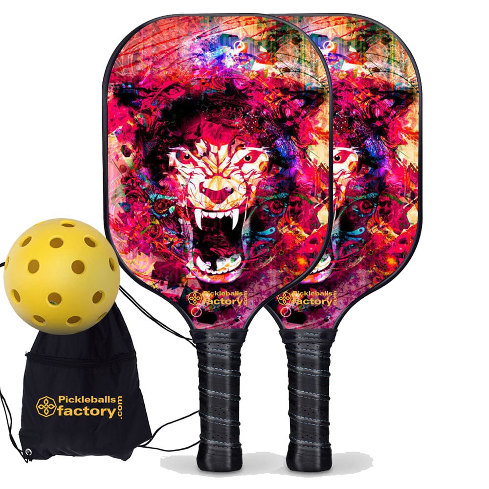 PB0002-1-G Best Pickleball Set - Pickleballtournament Paddle, Glassfiber Graphite