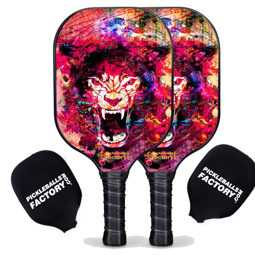 Best Pickleball Set - Pickleballtournament Paddle, Carbonfiber Graphite