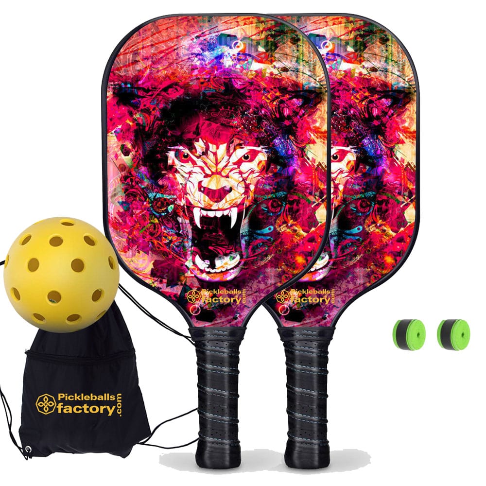 PB0002-6-C Best Pickleball Set - Pickleballtournament Paddle, Carbonfiber Graphite