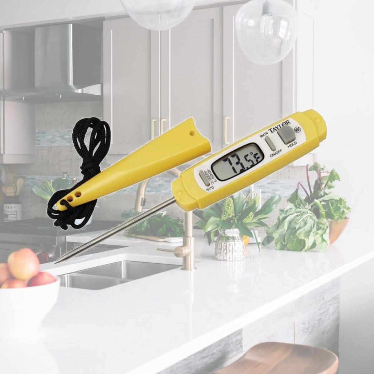 Picture of Taylor 9847n Anti-microbial Instant Read Digital Thermometer