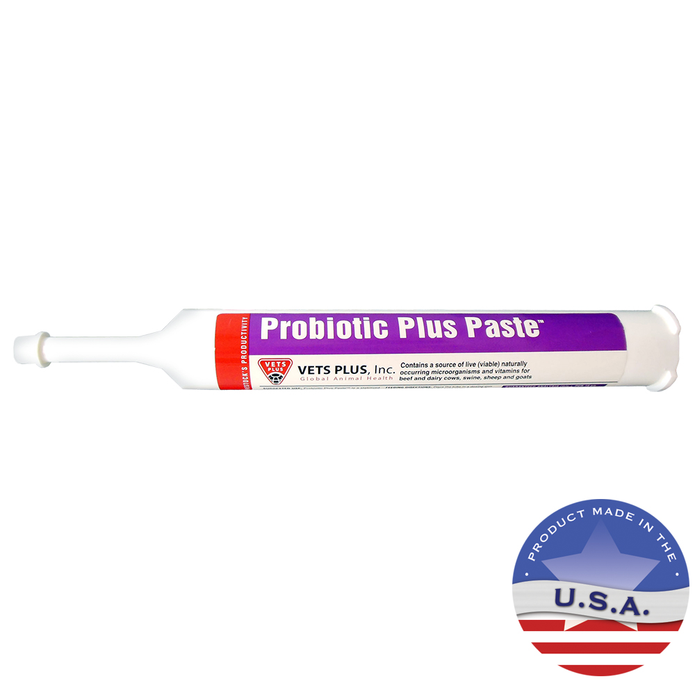 015vp-40-601 300 Cc Tube Probiotic Plus Paste