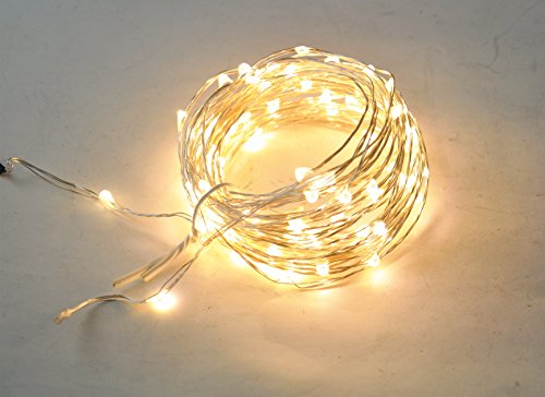 600098 20 Led Copper Wire String Light, Warm White
