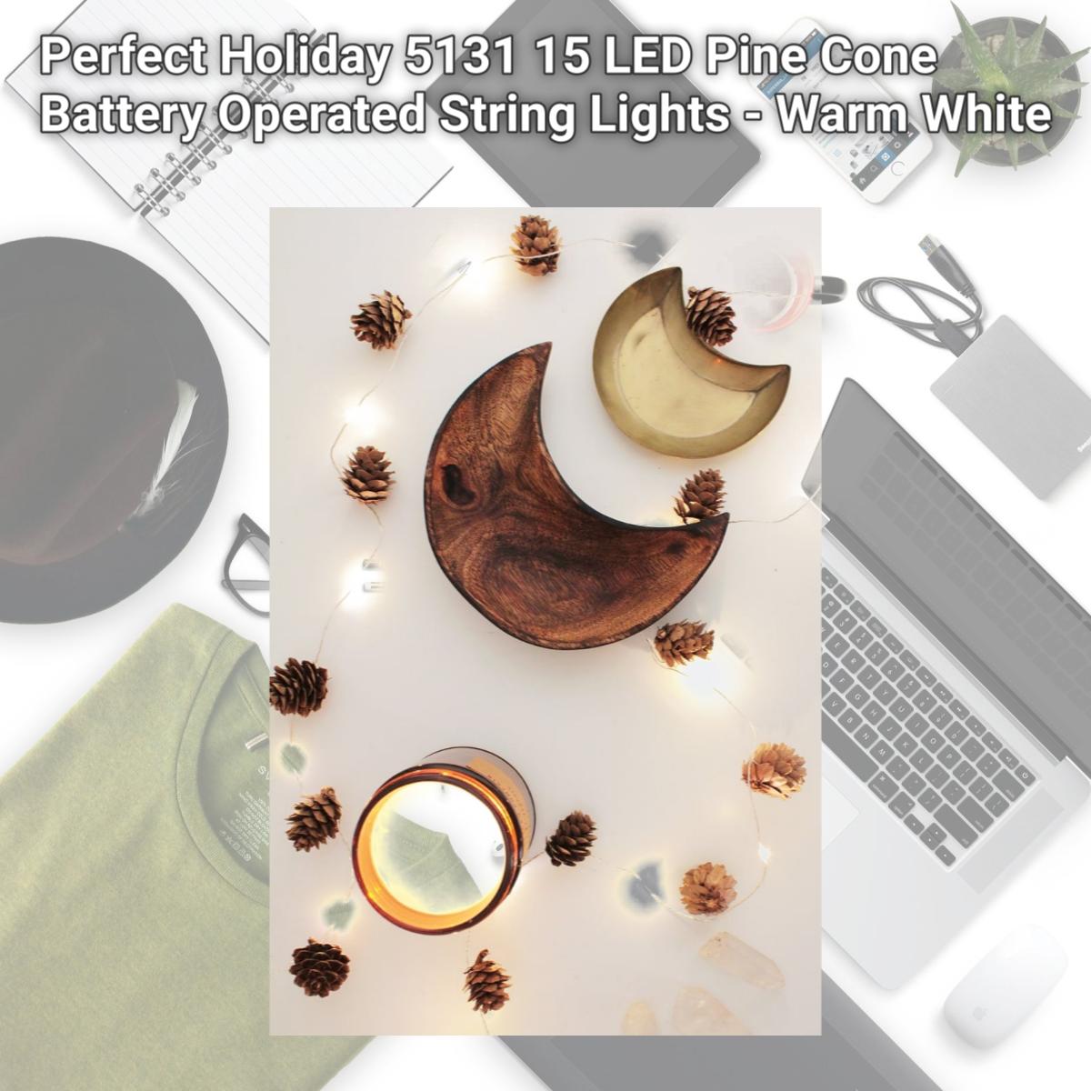 Picture of Perfect Holiday 5131 15 LED Pine Cone Battery Operated String Lights - Warm White