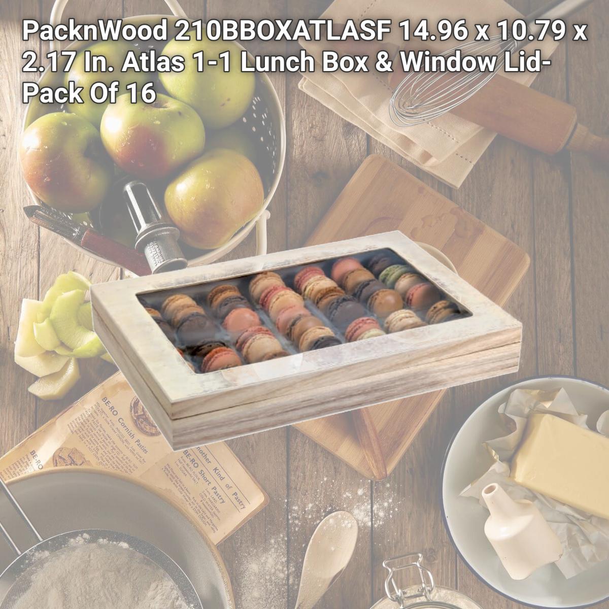 Picture of PacknWood 210BBOXATLASF 14.96 x 10.79 x 2.17 In. Atlas 1-1 Lunch Box & Window Lid- Pack Of 16