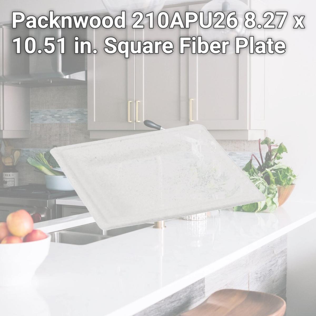 Picture of Packnwood 210APU26 8.27 x 10.51 in. Square Fiber Plate