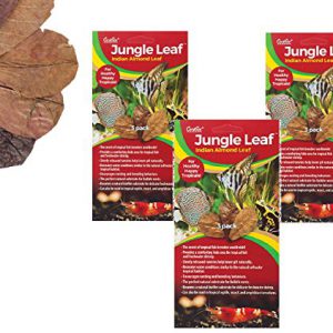 084213 Aquatics Jungle Indian Almond Leaf