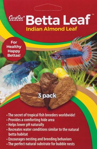 084212 Betta Indian Leaf, Pack Of 3
