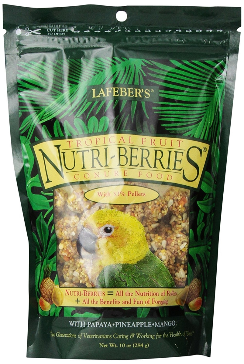 410028 10 Oz Gourmet Tropical Fruit Nutri-berries For Conures Bag