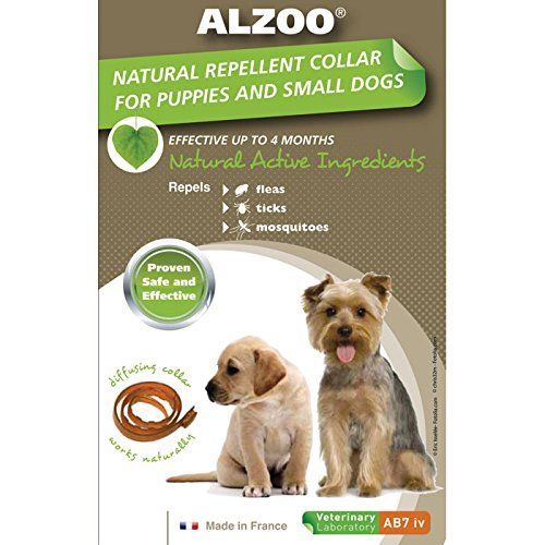 Ab7am 420018 1 Oz Alzoo Dog Collar Medium