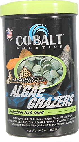 478240 16 Oz Algae Grazer Fish Food