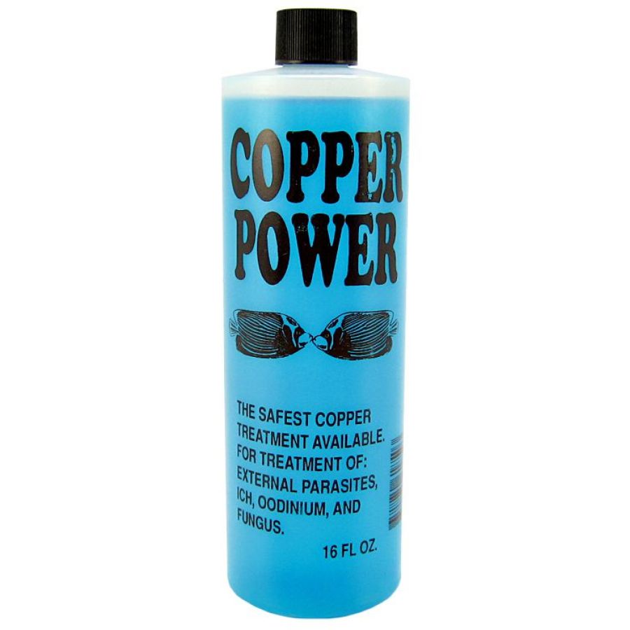 512000 4 Oz Copper Power Salt Water, Blue
