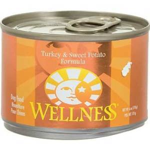 Welpt 634933 24 X 6 Oz Wellness Core 95 Turkey, Spices Dog